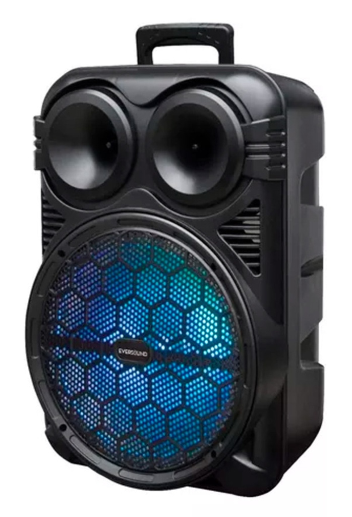 Parlante Ev-122 2000w Everest 